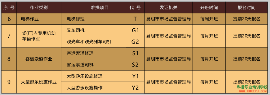 云南锅炉证(代号:G1\G2\G3)新版证书样本